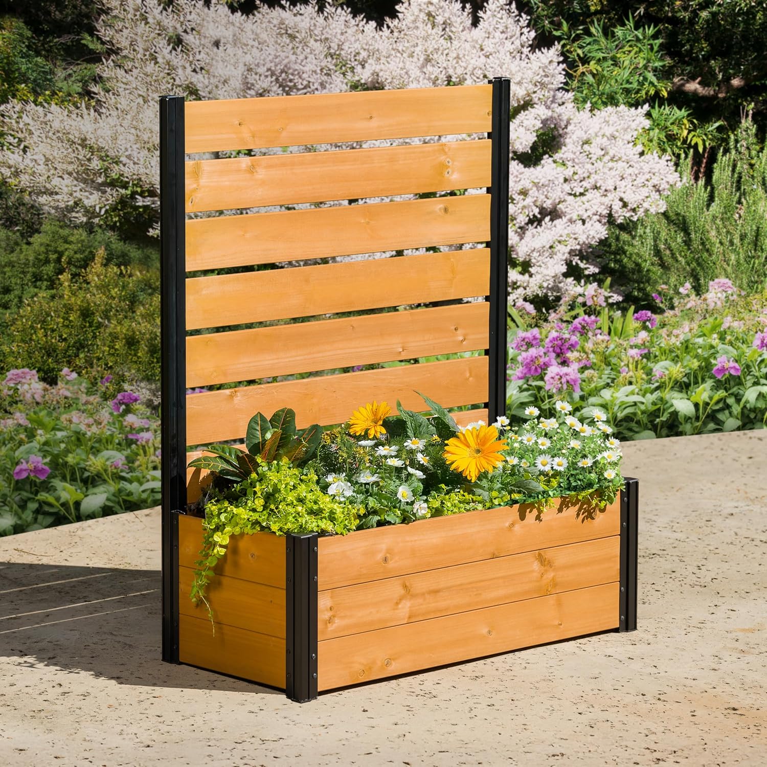 4 ft H x 3.5 ft W x 1.2 ft L Enclo Wood Privacy Screen with Planter Box, Raised Garden Bed with Trellis for Climbing Plants Outdoor, Privacy Planter for Patio, Balcony or Deck, Tacoma Charcoal EC18048
